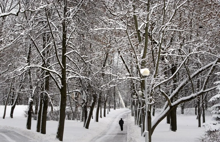 Central Parku w Mińsku: mężczynza spaceruje przez zasypany park Central Parku w Mińsku: mężczynza spaceruje przez zasypany park