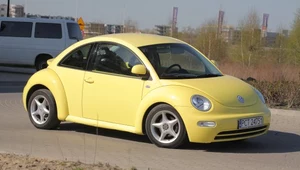 Podwoziowo New Beetle jest tożsamy z takimi modelami jak Golf IV i Audi A3, co zmniejsza koszty serwisu.