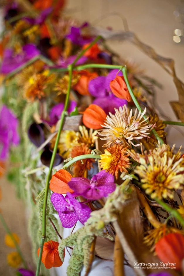 Flower Land Fot. Katarzyna Zydroń