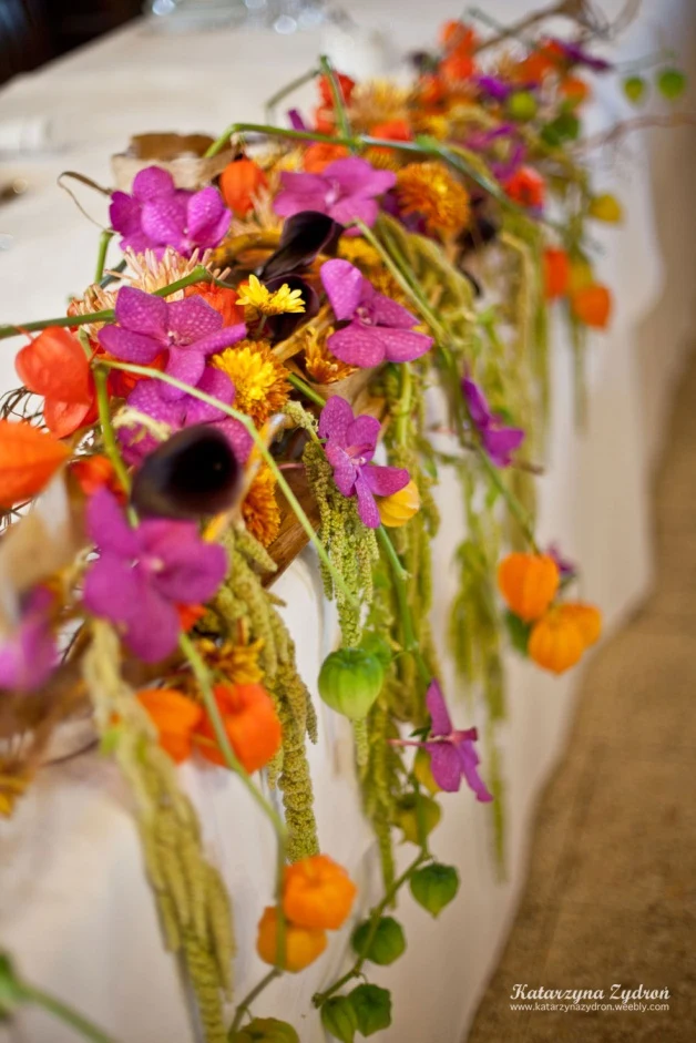 Flower Land Fot. Katarzyna Zydroń