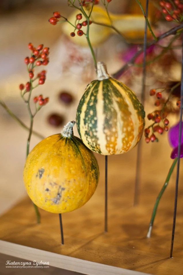 Flower Land Fot. Katarzyna Zydroń