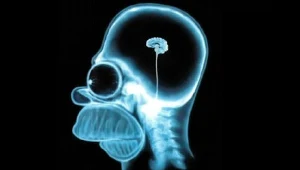 Tetris poprawia pracę mózgu