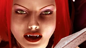 Bloodrayne - motyw graficzny