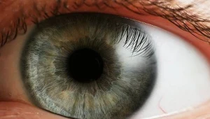 Oko profesjonalnego gracza