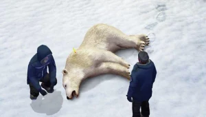 Alpha Polaris - motyw graficzny