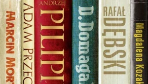 Strasznie Mi się Podobasz - motyw graficzny antologii