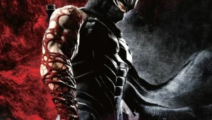 Ninja Gaiden 3 - motyw graficzny
