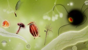 Botanicula - motyw graficzny