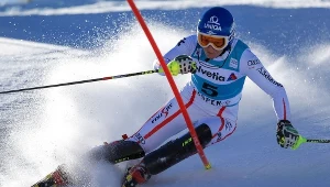 Marlies Schild