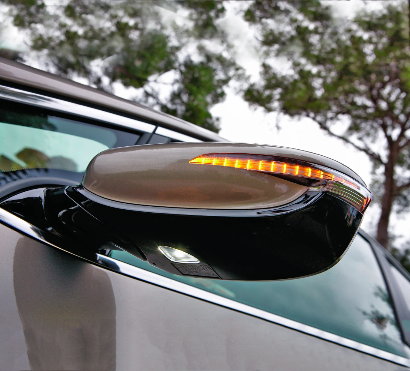 Lusterka z kierunkowskazami LED i oświetleniem podłoża to standard wersji L.