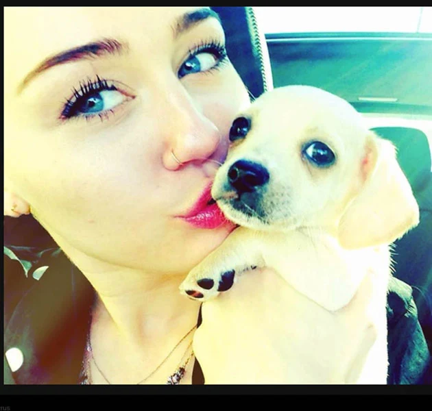 Miley ze swoim nowym psim przyjacielem Miley ze swoim nowym psim przyjacielem