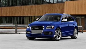 Audi SQ5 TSI - nie dla Europy