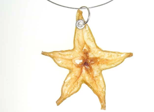 Real Fruit Jewelry 