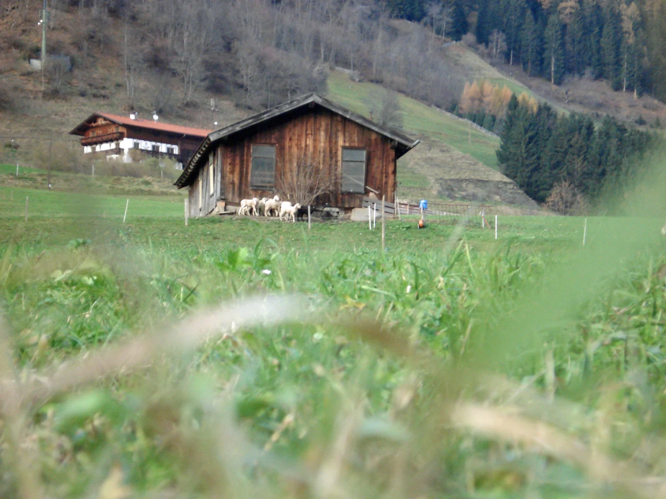 Lodowiec Stubai i okolice Lodowiec Stubai i okolice