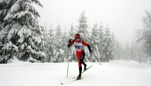 Justyna Kowalczyk podczas zawodów Pucharu Świata w Szklarskiej Porębie
