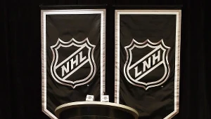 9 stycznia Gary Bettman, komisarz NHL, ogłosił, że zawodowi hokeiści wracają do gry