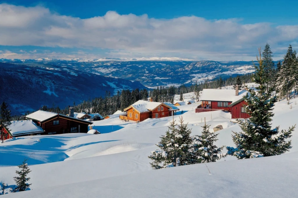 Centrum Tromsø leży w dolinie, większość mieszkańców ma domy na wzgórzach. Zimą popularnym środkiem lokomocji są tu więc narty biegówki (latem zamieniane na rowery)