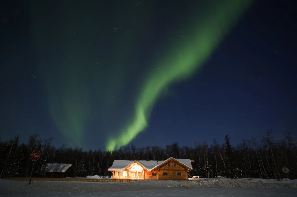 Zorza polarna przyciąga co rok setki tysięcy turystów. Tromsø to jedno z najlepszych na świecie miejsc do obserwowania aurora borealis. Przyjeżdża tu wielu Japończyków, którzy wierzą, że zorza daje gwarancję posiadania inteligentnych dzieci