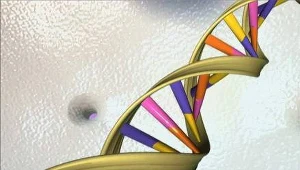 Podwójna helisa DNA