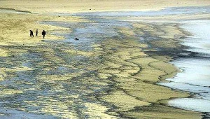 Coraz więcej ścieków, coraz mniej plaż