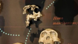 Darwin i jego teoria na cenzurowanym