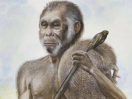 Hobbit to odrębny gatunek człowieka - twierdzi prof. Falk Hobbit to odrębny gatunek człowieka - twierdzi prof. Falk