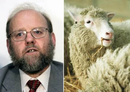 Owcę Dolly sklonowano w 1996 r. Owcę Dolly sklonowano w 1996 r.
