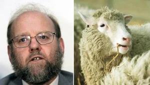 Owcę Dolly sklonowano w 1996 r.