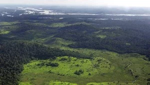 Szczególnie zagrożony jest m.in. rejon Amazonii