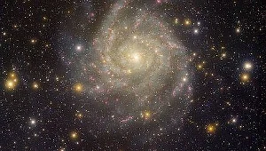 Imię profesora nosi planetoida 11755 Paczynski