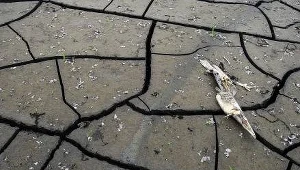 Naukowcy wyjaśnili, dlaczego zniknęło jezioro