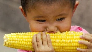 Nigdy nie wiadomo co nam zaszkodzi