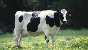 (c) U.S. Department of Agriculture