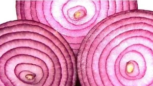 ? Darwin Bell, Creative Commons