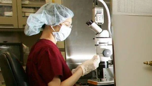 Polacy odkryli białko chroniące przed rakiem