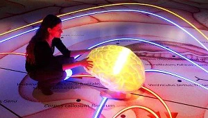 Mózg "wie" wcześniej, co chcemy zrobić