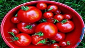 ? jacki-dee, Creative Commons