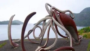  Naturalnej wielkości model jednej z gigantycznych kałamrnic ? Product of Newfoundland