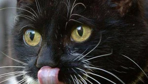 Piątek 13. wcale nie jest bardziej pechowy