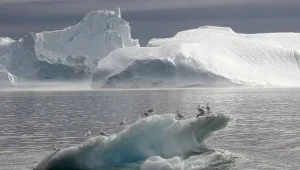 Nie będzie lodu na Biegunie Północnym?