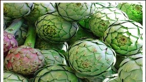 Karczoch obniża cholesterol