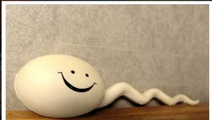 Chcesz zostać tatą? Uważaj na soję!