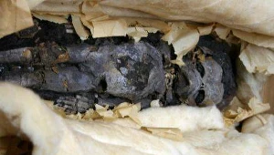 Naukowcy sprawdzają czy ojcem zmumifikowanych dzieci był Tutanchamon