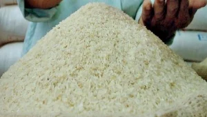 Wielka moc małych ziarenek