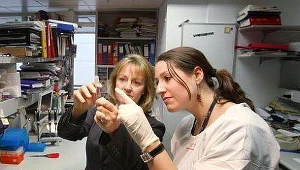 Rewolucja w diagnozowaniu raka piersi