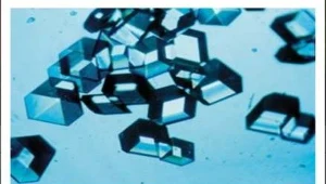 Insulina z komórek skóry