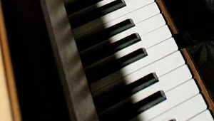 Muzycy mają lepszy mózg?