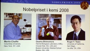 Nagroda Nobla z chemii dla trzech Amerykanów