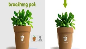 fot. www.ecofriend.org