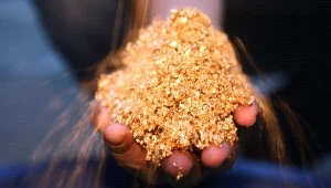 Wydobywają złoto w... oczyszczalni ścieków